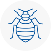 Bed Bug Extermination In East Horsley